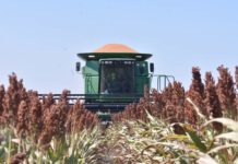Inicia dispersión de recursos de apoyo del “Programa de Fomento a la Producción Rural 2023”