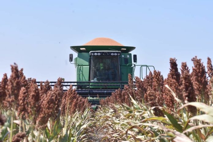 FB_IMG_1696864996833