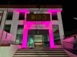 Palacio Municipal de Diaz Ordaz se pinta de rosa