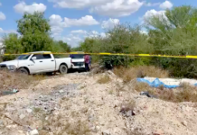 Hallan cadáver en apartada colonia popular en predio abandonado