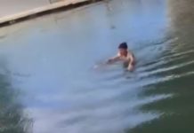 Gobierno municipal de Tampico hace un llamado para que ciudadanos eviten invadir hábitat de cocodrilos