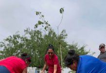 Gobierno de Reynosa reforesta y embellece Plaza de San Valentín