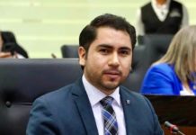 Urge retirar lirio acuático en sistema lagunario de zona sur