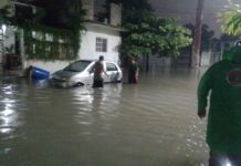 Reporta PC caída de ramas de árboles y una barda, por ingreso del FF4