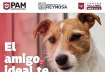 Promueve Alcalde Carlos Peña Ortiz la adopción de mascotas