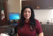 Podrían ampliar horario en escuelas para recuperar clases perdidas por paro de maestros