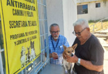 Continúan vacunando a perros y gatos contra la rabia en la Jurisdicción No. II