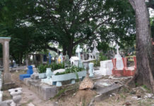 35% de tumbas están abandonadas en cementerio municipal