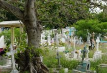COEPRIS pide no depositar agua en los floreros de las tumbas en cementerios