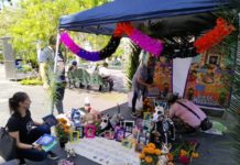 Colocan altar a los mascotas que murieron por maltrato animal