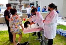 Exhortan a todos ciudadanos a esterilizar a sus mascotas
