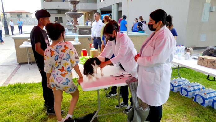 Importante que ciudadanos vayan a esterilizar a sus gatitos y perritos (1)