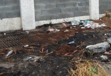 Exhorta Alcalde Carlos Peña Ortiz a ciudadanos a no tirar basura en la vía pública