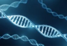 Cómo DeepMind, la inteligencia artificial de Google, está acelerando la identificación de genes que causan enfermedades