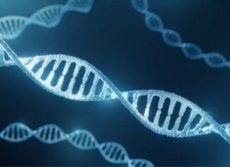 Cómo DeepMind, la inteligencia artificial de Google, está acelerando la identificación de genes que causan enfermedades