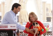Busca Gobierno de Reynosa sanciones más firmes para quien violente a mascotas