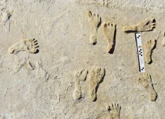 Humanos pisaron Norteamérica miles de años antes de lo que se pensaba