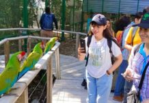 Ofrece Parque Ecológico Biósfera El Cielo talleres gratuitos sobre la mariposa monarca