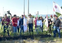 Realiza Desarrollo Rural jornada de reforestación