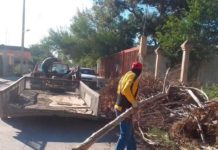 Aplican limpieza en calles de Díaz Ordaz