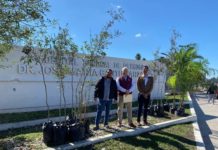 Alcalde Carlos Peña Ortiz suma esfuerzos para reforestar Reynosa