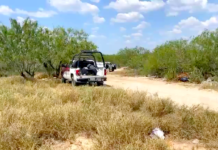 Colectivos hallaron otro “Campo de Exterminio” rumbo a la carretera a Monterrey
