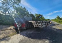 Trailer y unidad chocan en carretera a Villa de Casas dejando daños