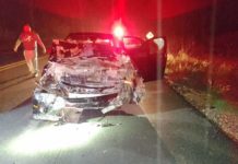 Conductor se impacta en su automóvil con semoviente