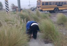 Trabaja Gobierno de Reynosa en mantenimiento y limpieza de avenidas