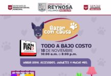 Alcalde Carlos Peña Ortiz apoya a grupos de protección animal