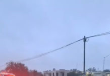 Matan a persona tras haber sido atropellada en la colonia Nuevo México