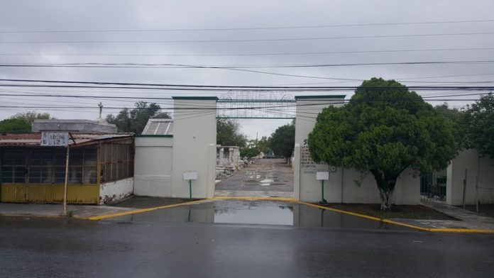 Realizan limpieza en panteones y recomiendan reemplazar flores tradicionales por flores sintéticas (3)