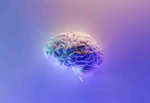 ¿Sufres de grasa abdominal? Podrías tener riesgo de padecer Alzheimer