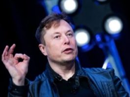 Elon Musk gana contratos con la CFE y dará Internet satelital para todo el país