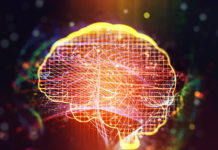 Contradicen la hipótesis de que el cerebro humano puede “reconectarse” luego de una lesión