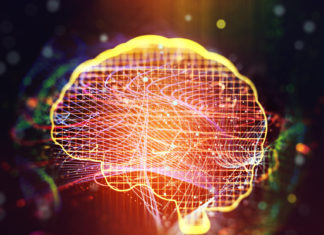 Contradicen la hipótesis de que el cerebro humano puede “reconectarse” luego de una lesión