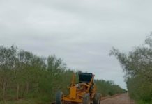 Realizan trabajos de motoconformación en distintas brechas de los ejidos