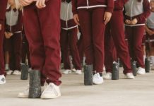 Germinan viveros de árboles nativos en escuelas de Tamaulipas