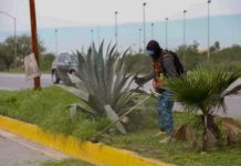 Reparó Municipio de Reynosa infraestructura urbana