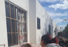 Protege Alcalde Carlos Peña Ortiz a mascotas en condición de calle