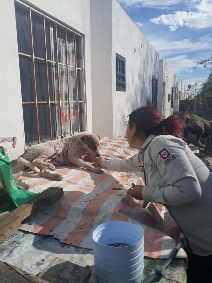 8b3ee787-5df9-4362-9a35-adaf080f0d43