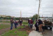 Implementa Alcalde Carlos Peña Ortiz Jornadas de Limpieza