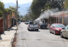 Pide Secretaría de Salud redoblar prevención contra el dengue