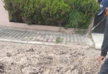 Atiende COMAPA fuga de agua potable en colonia Del Prado