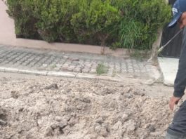 Atiende COMAPA fuga de agua potable en colonia Del Prado