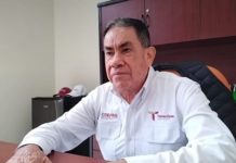 Alertan por bacteria en melocotones, ciruelas y mandarinas importados de Estados Unidos