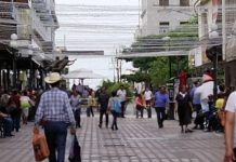 IP estima concluir 2023 con hasta un 8% de crecimiento en todos los sectores