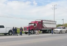 Ratero lesiona a transportista para asaltarlo y llevarse el dinero en carretera a San Fernando