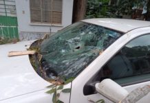 Caída de árboles, barda, un portón y hasta de un puesto semifijo reportan por el norte en Tampico