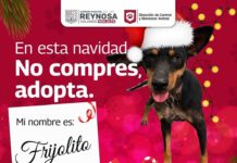 Invita Alcalde Carlos Peña Ortiz a adoptar mascotas